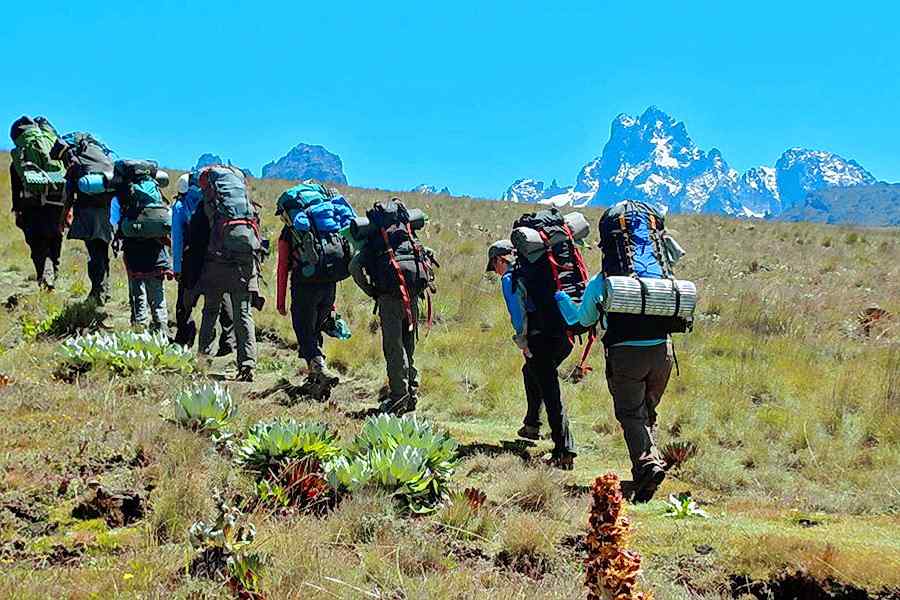 mt kenya