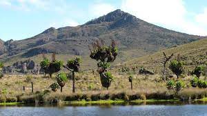 mount elgon