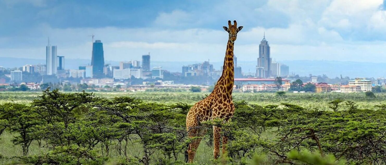 nairobi national park