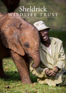 sheldrick wildlife