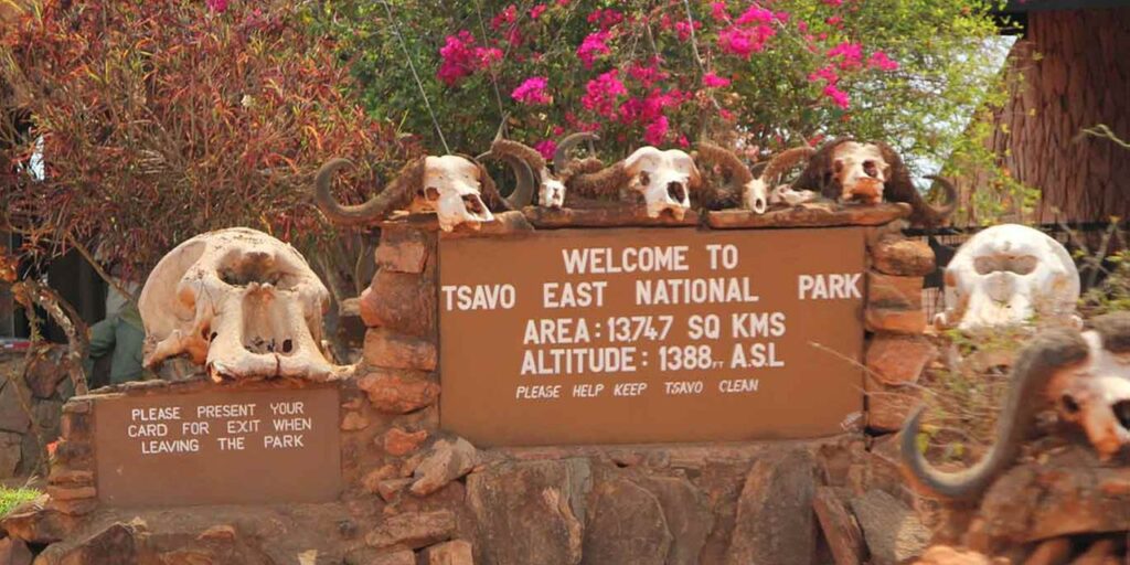 tsavo east 