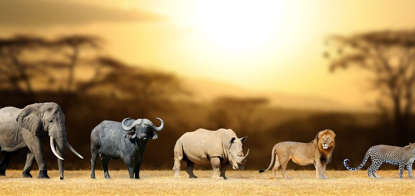 Big five