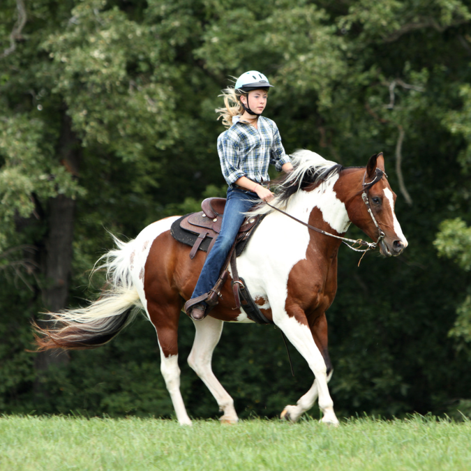 Horse riding