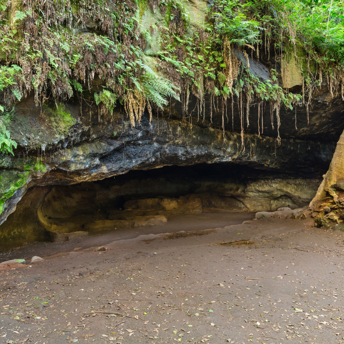 karura forest