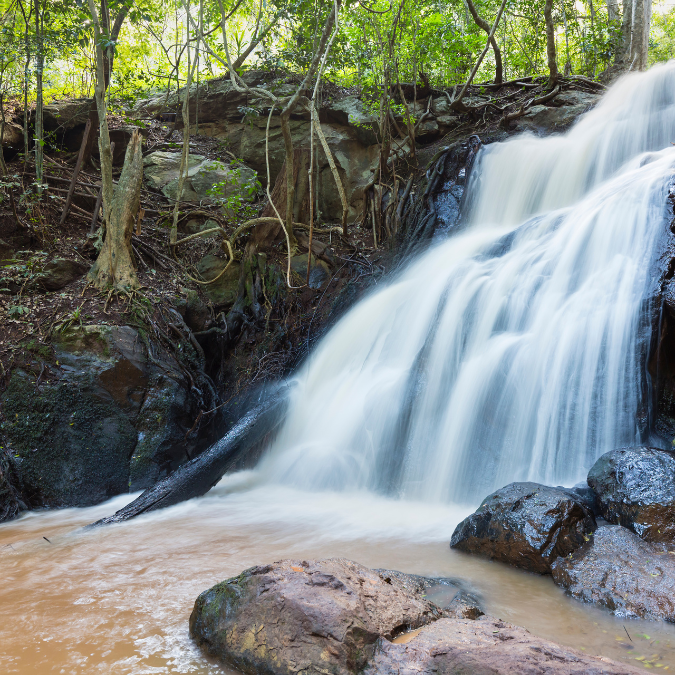 Karura forest