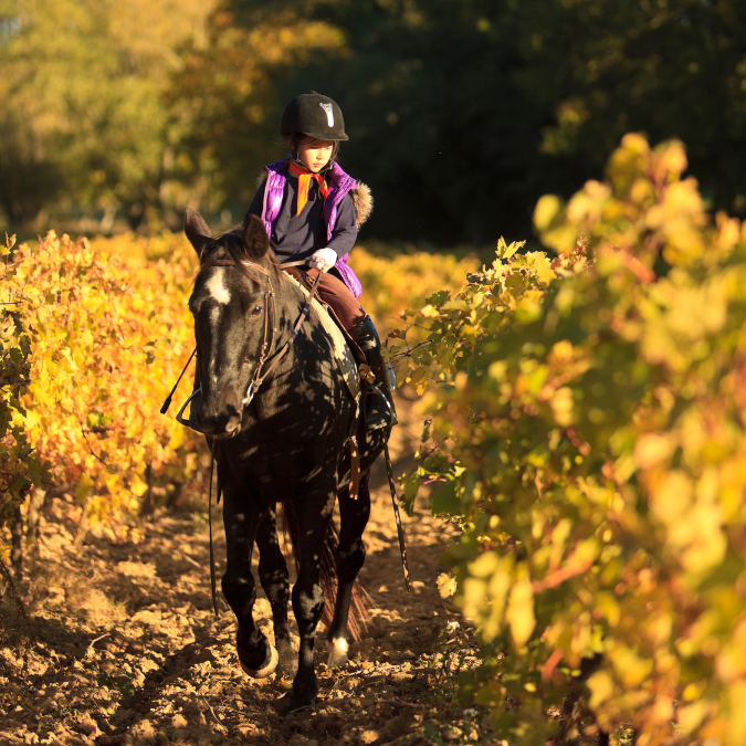 Horse riding