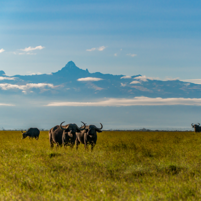 Mt Kenya