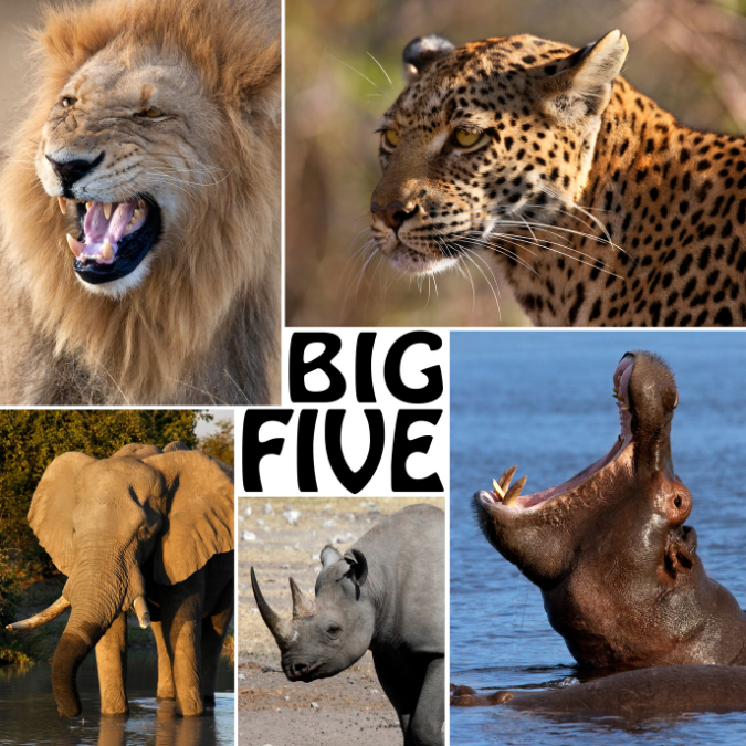 big five