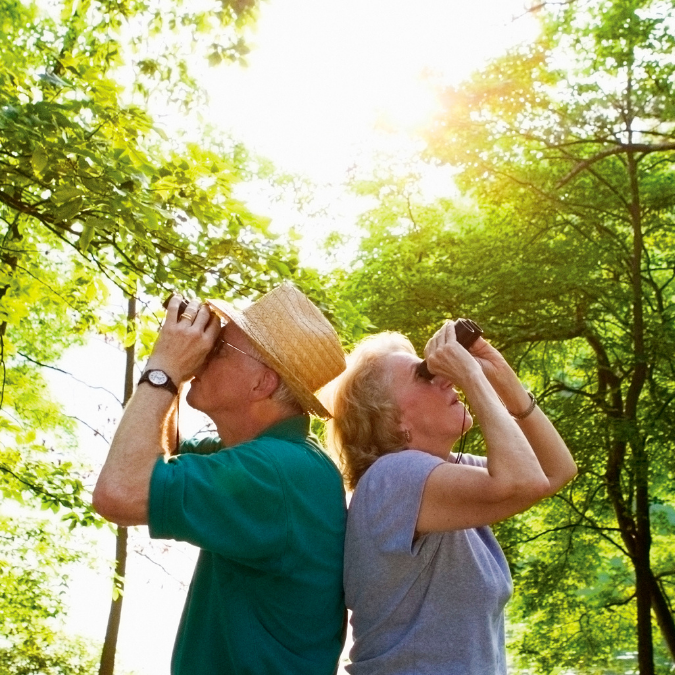 bird watchers