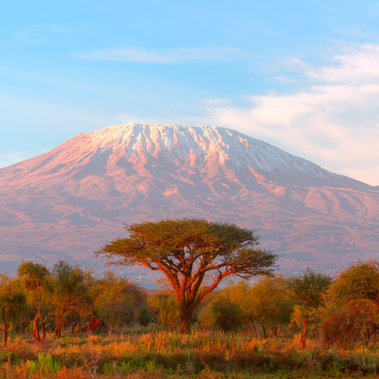 mt Kenya